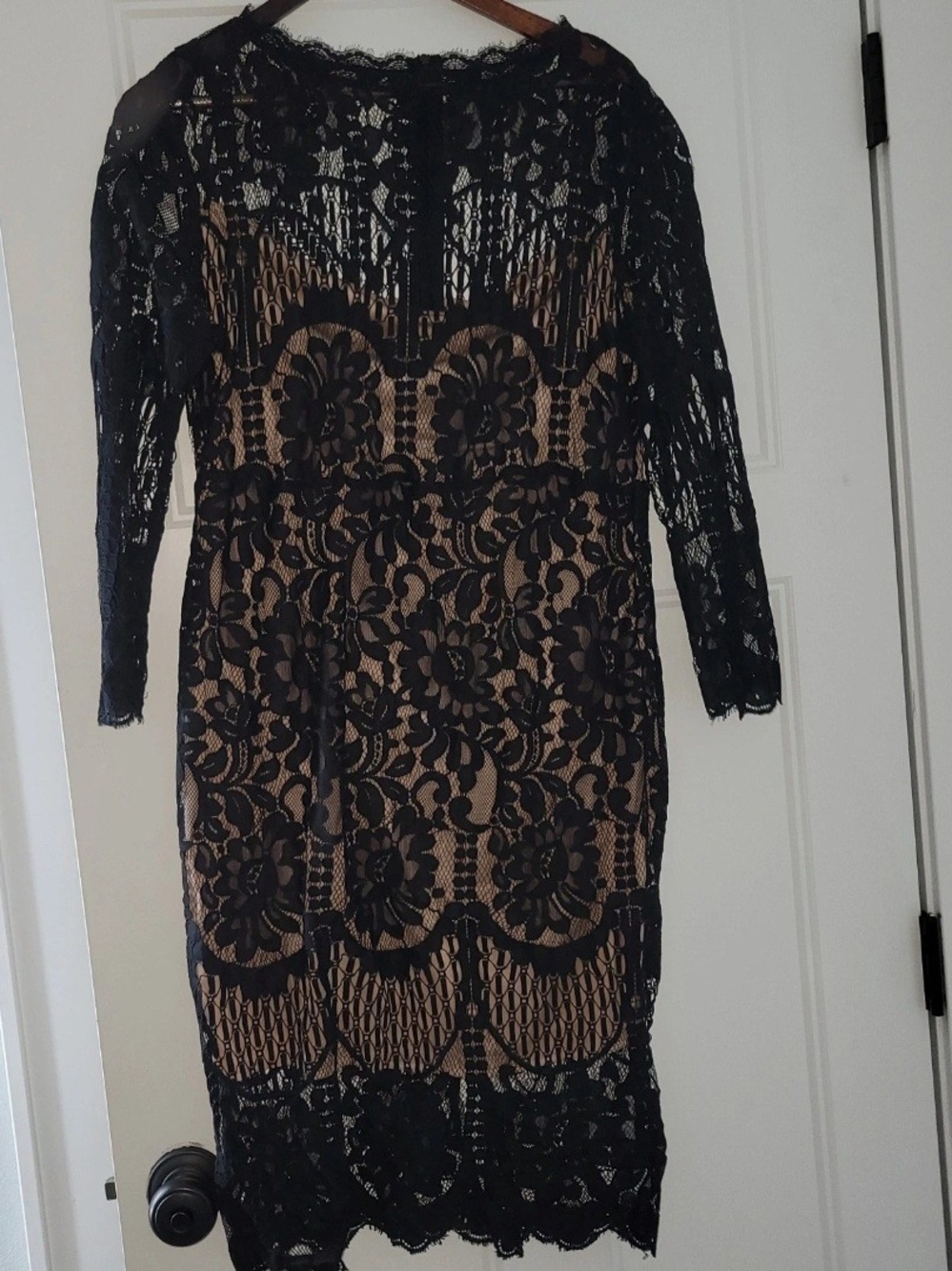 Black Lace Sheath Dress with Nude Lining